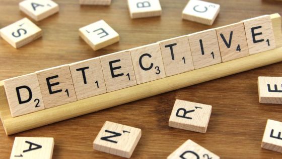 detectives norte pais vasco